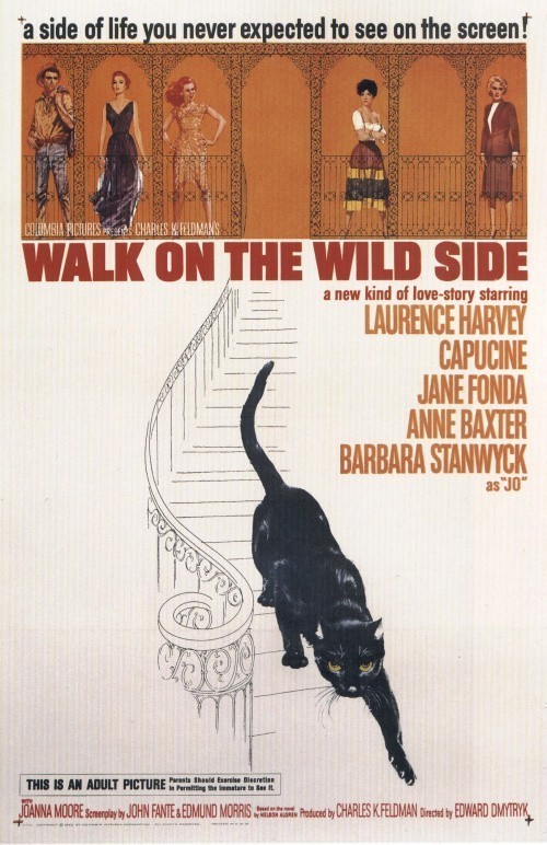 Walk on the Wild Side is similar to Cigdem.