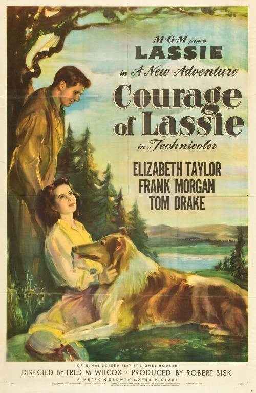 Courage of Lassie is similar to A toute vitesse.