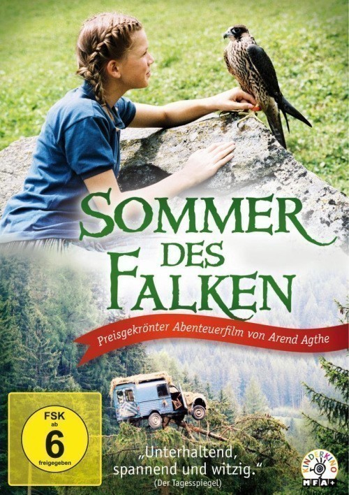 Der Sommer des Falken is similar to Sozde kizlar.