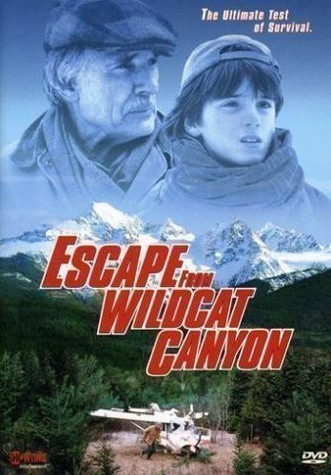 Escape from Wildcat Canyon is similar to The Magic Box.