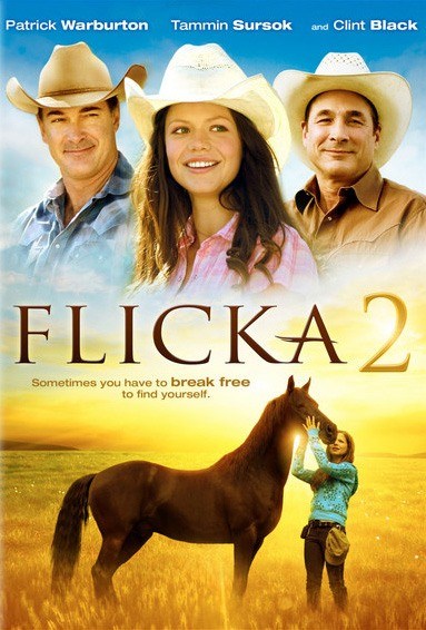 Flicka 2 is similar to Searchers 2.0.