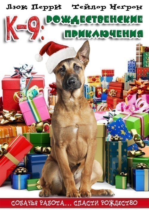 K9 Adventures: A Christmas Tale is similar to Always in My Heart.