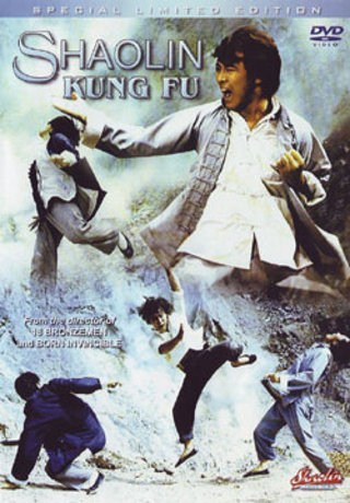 Shaolin Kung Fu is similar to The Pool Boys.