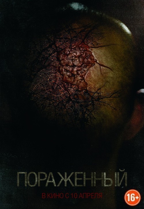 Afflicted is similar to After Dark.