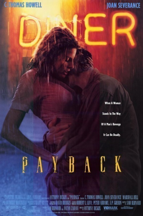 Movies The Payback poster