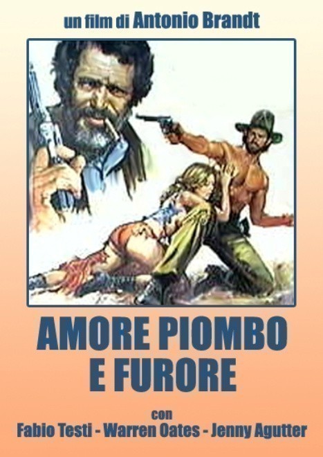 Amore, piombo e furore is similar to Mo, hitori ja nai.