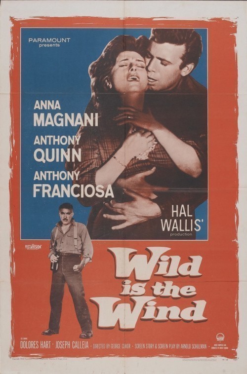 Wild Is the Wind is similar to La sangre de Frankenstein.