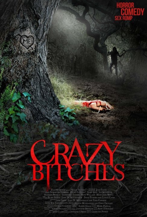 Crazy Bitches is similar to Klovn: The Movie.