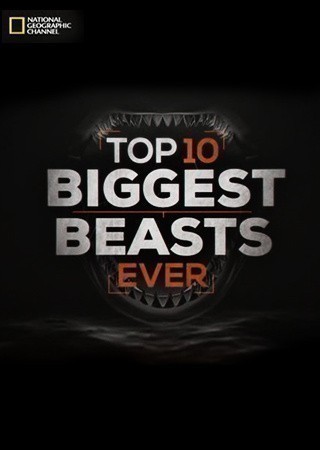 Top-10 Biggest Beasts Ever is similar to Mi fantasma y yo.
