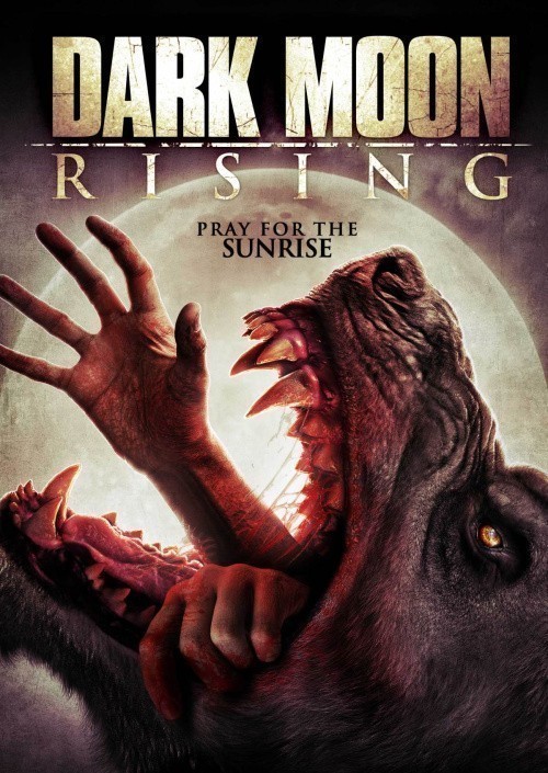 Dark Moon Rising is similar to The Hitman Chronicles.
