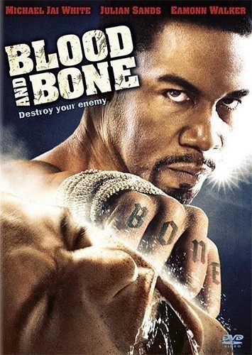 Blood and Bone is similar to Chasing Ice.