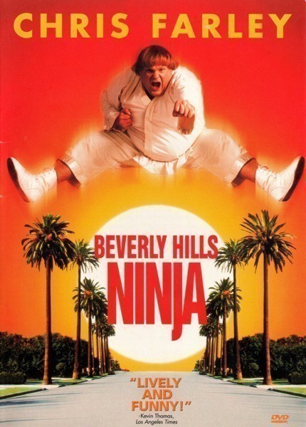 Beverly Hills Ninja is similar to A Good Day for Ted Schmetterling.