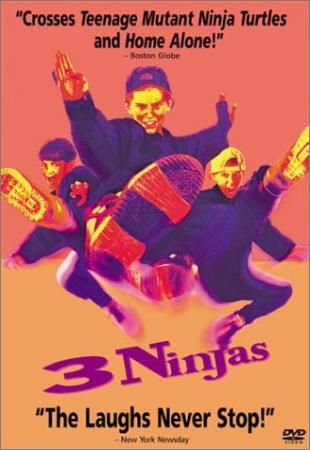 3 Ninjas is similar to Innan du slar i marken.