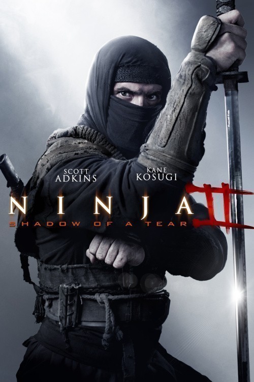 Ninja: Shadow of a Tear is similar to Retribution.