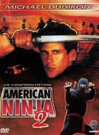 American Ninja 2: The Confrontation is similar to American History: Our Bill of Rights.