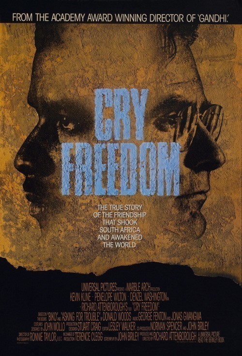 Cry Freedom is similar to Celine.