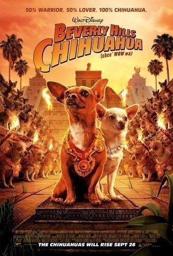 Beverly Hills Chihuahua is similar to The Fire Inside.