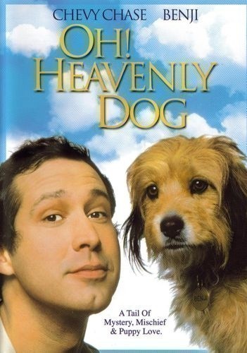 Oh Heavenly Dog is similar to It Comes at Night.