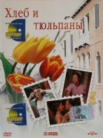 Pane e tulipani is similar to Confessions of a Male Prostitute.