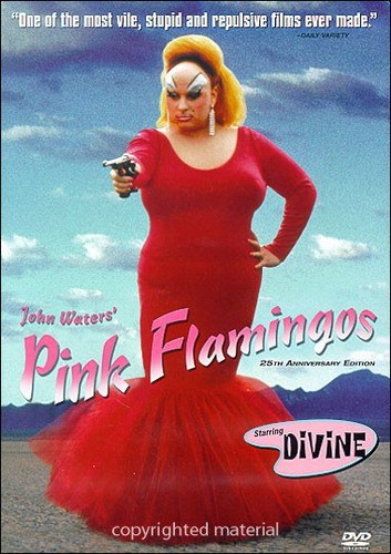 Pink Flamingos is similar to El novicio rebelde.