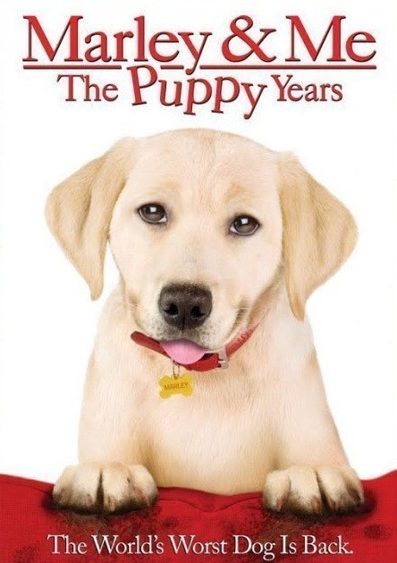 Marley & Me: The Puppy Years is similar to Born Lucky.