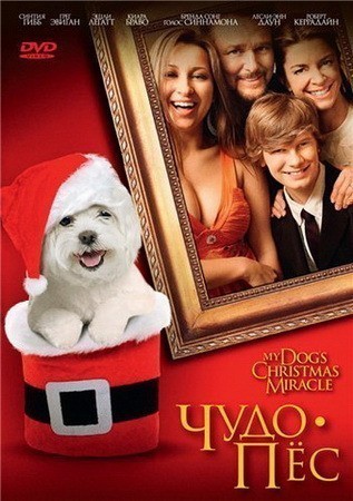 My Dog's Christmas Miracle is similar to The Reincarnation of Peter Proud.