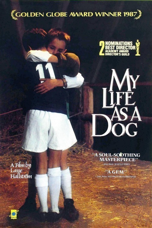 Mitt liv som hund is similar to Due soldi di speranza.