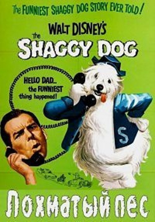 The Shaggy Dog is similar to The Stoker.