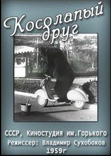Kosolapyiy drug is similar to Coopers' Camera.